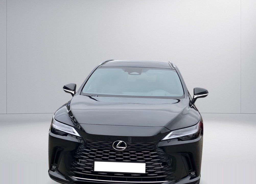 Lexus Seria RX 450h+ - foto 6