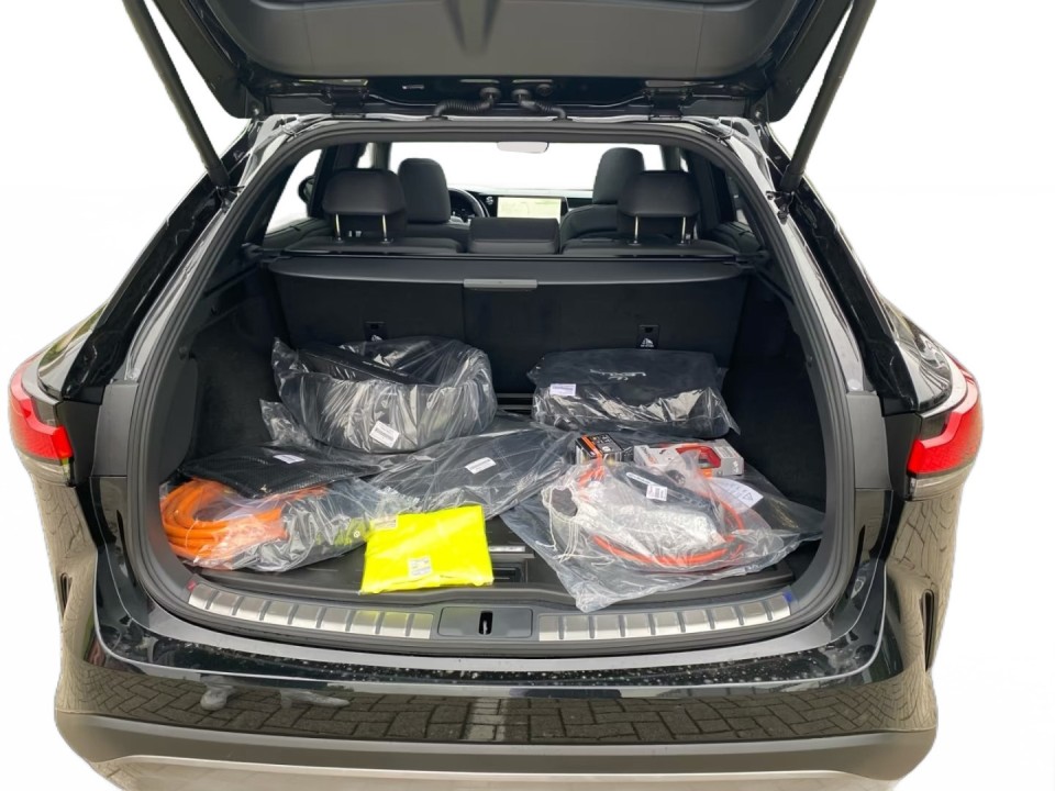 Lexus Seria RX 450h+ - foto 20