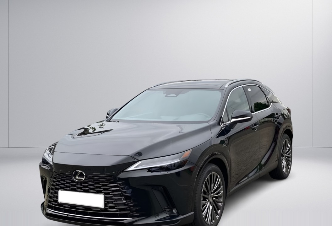 Lexus Seria RX 450h+ (5)