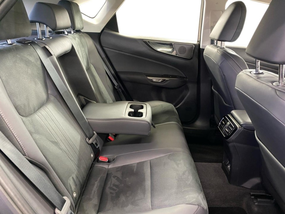 Lexus Seria RX 450h+ Luxury (5)