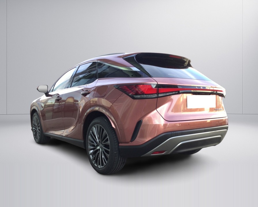 Lexus Seria RX 450h+ Luxury Line (5)