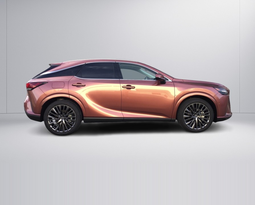 Lexus Seria RX 450h+ Luxury Line (2)