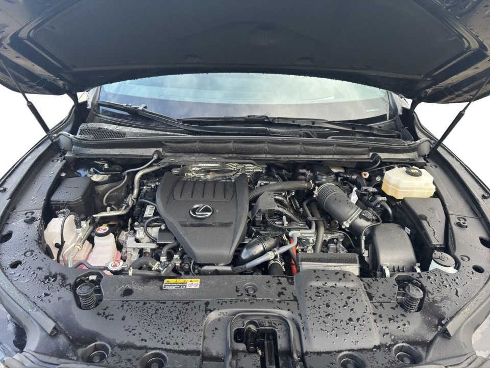 Lexus Seria RX 500h AWD F-Sport - foto 20