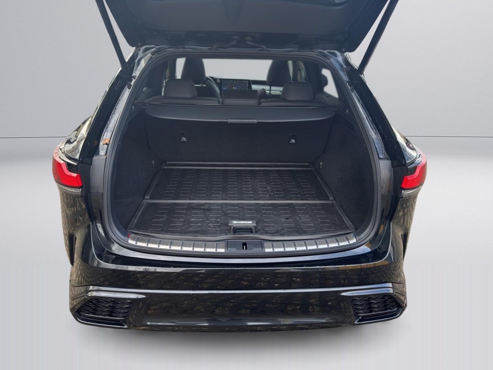 Lexus Seria RX 500h AWD F-Sport - foto 21