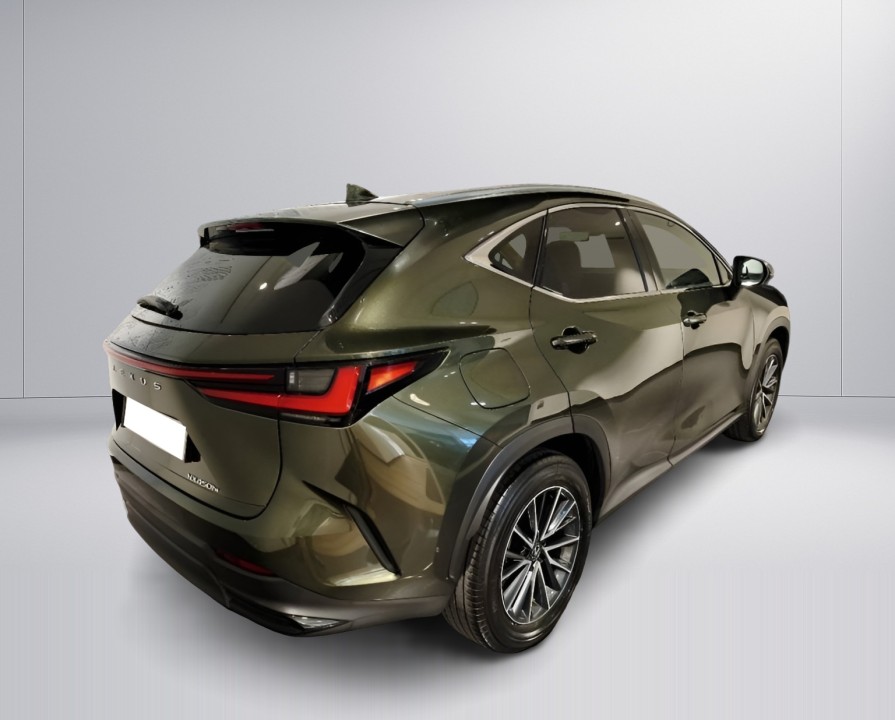 Lexus Seria NX 450h+ (2)