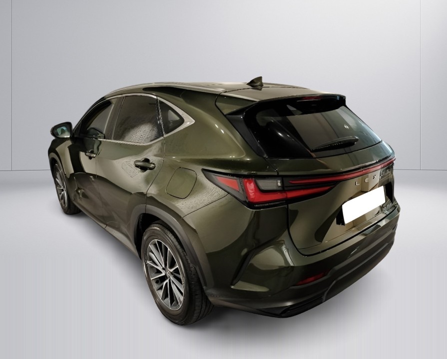 Lexus Seria NX 450h+ (4)