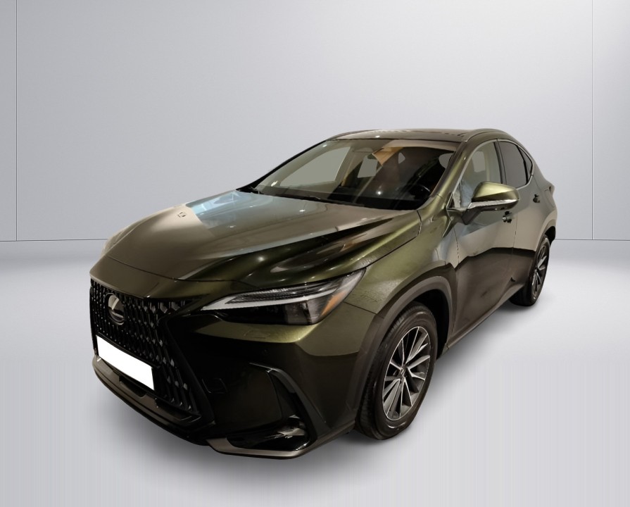 Lexus Seria NX 450h+ (5)