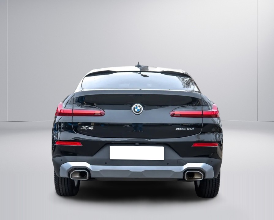 BMW X4 xDrive30i (5)