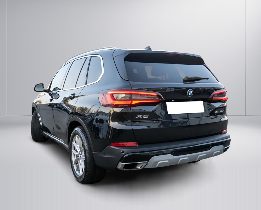 BMW X5 xDrive30d X-Line (3)