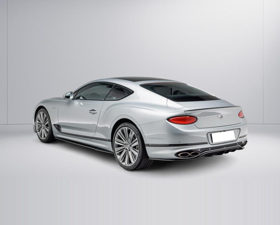 Bentley Continental Speed W12 (5)