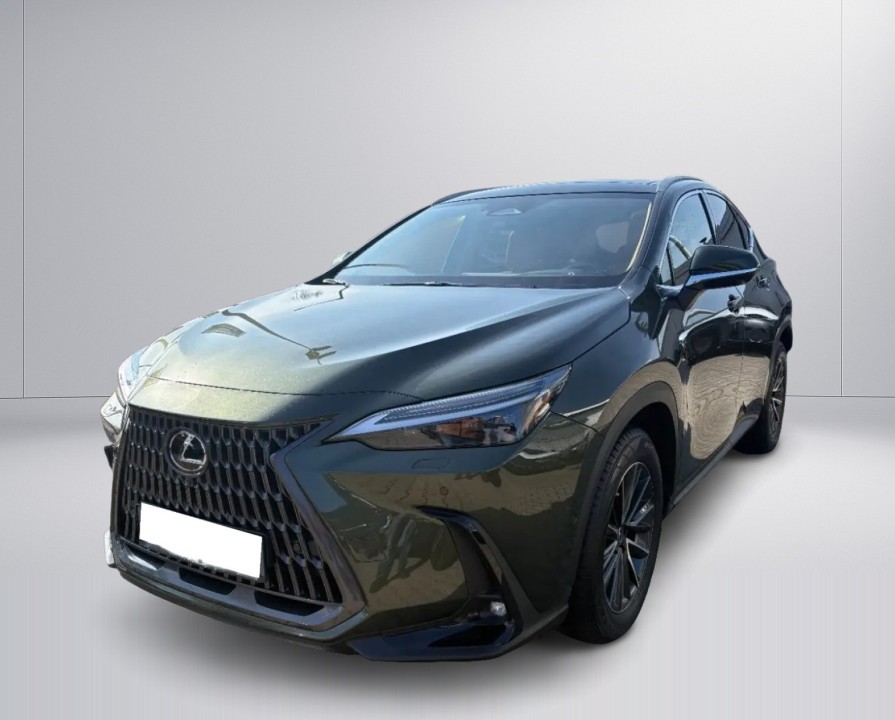 Lexus Seria NX 350h AWD Luxury Line (4)