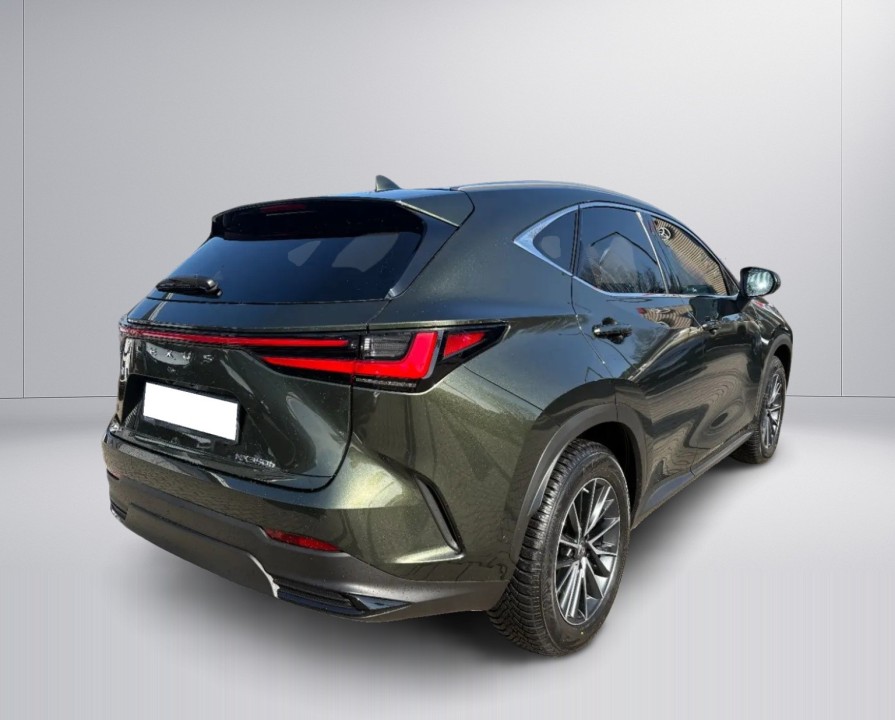 Lexus Seria NX 350h AWD Luxury Line (2)