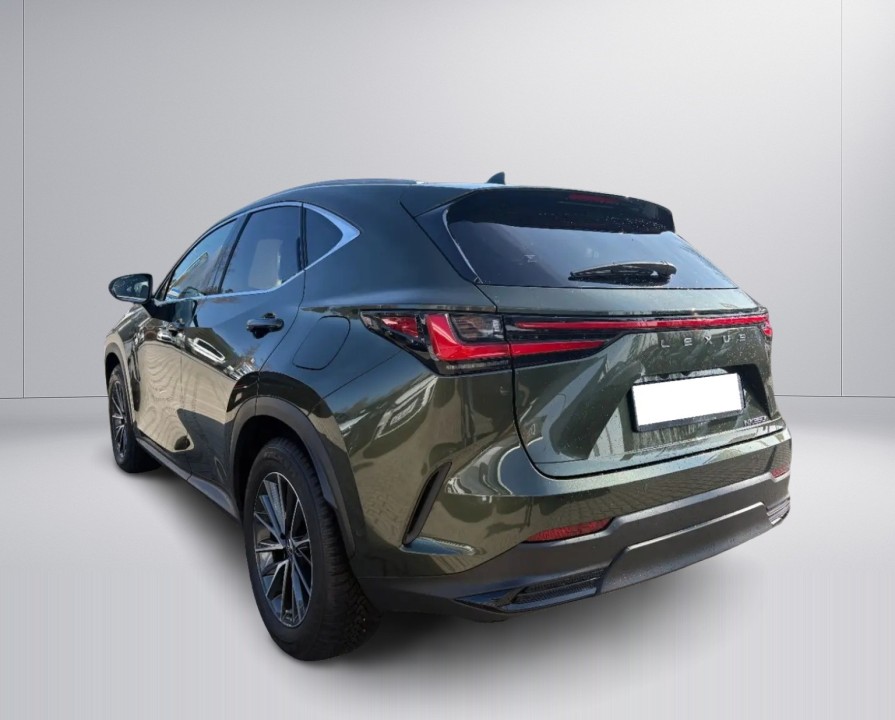 Lexus Seria NX 350h AWD Luxury Line (3)