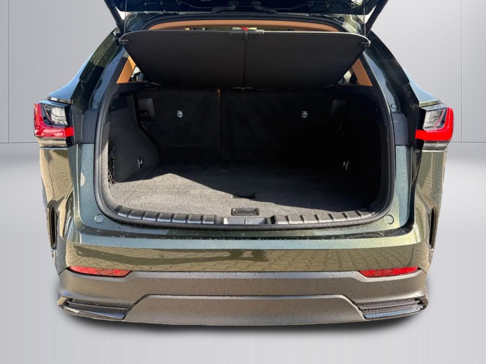 Lexus Seria NX 350h AWD Luxury Line - foto 13