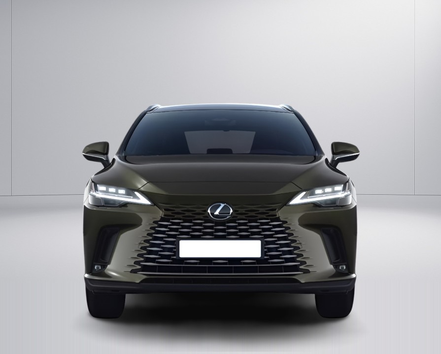 Lexus Seria RX 450h+ Luxury Line (2)