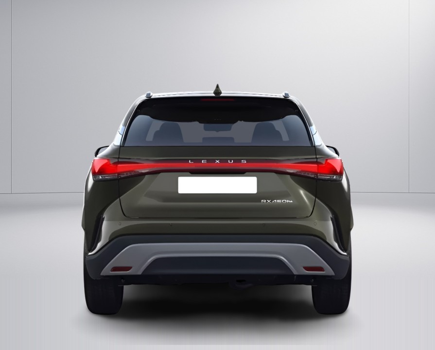 Lexus Seria RX 450h+ Luxury Line (5)