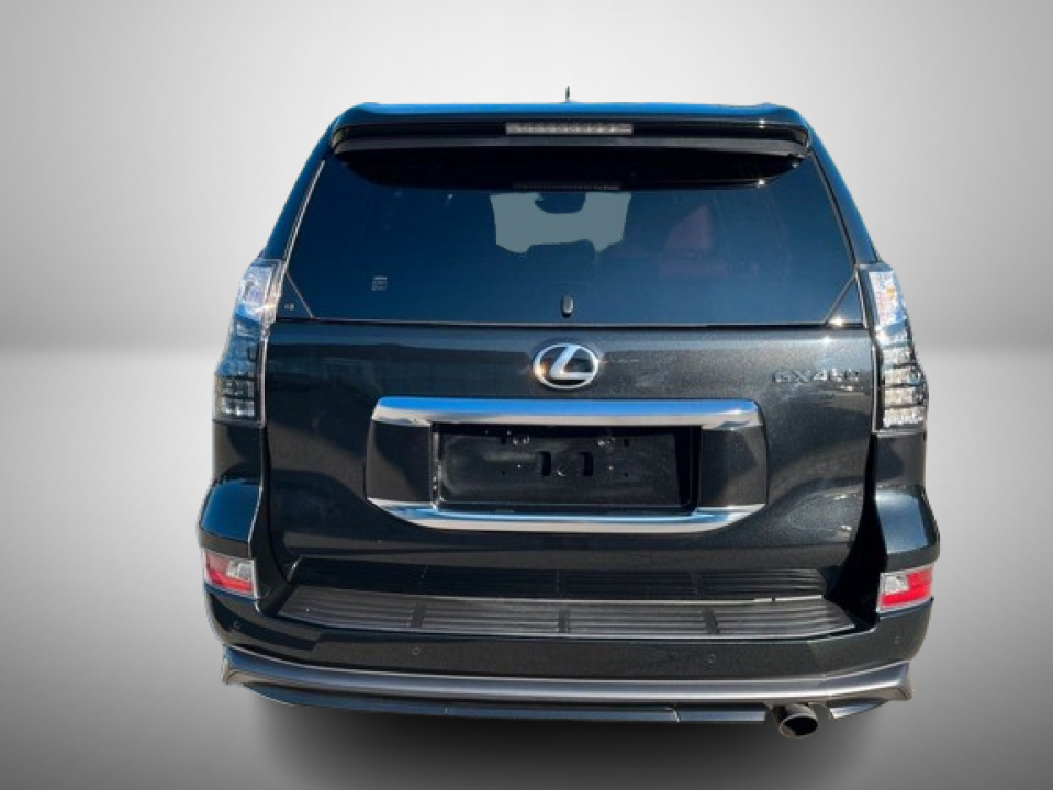 Lexus GX460 Premium Luxury (4)