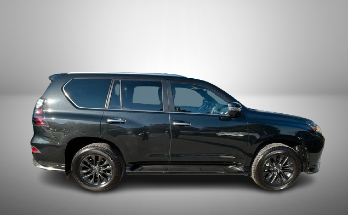 Lexus GX460 Premium Luxury (2)