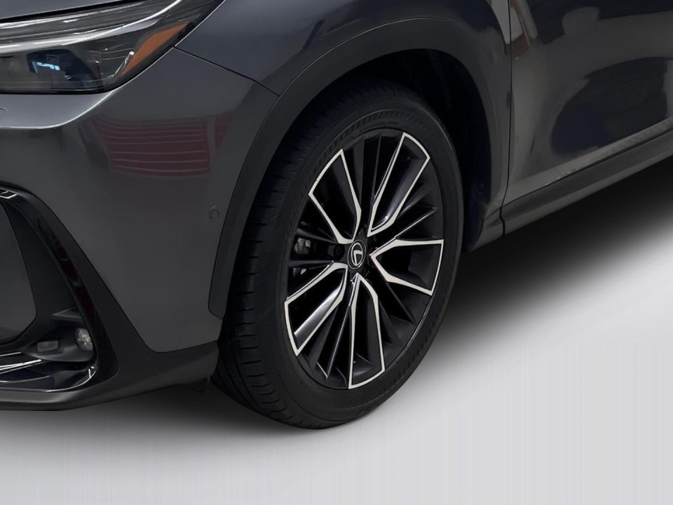 Lexus Seria NX 450h+ Luxury Line - foto 19