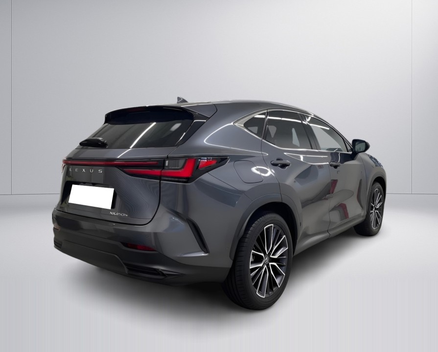 Lexus Seria NX 450h+ Luxury Line (2)
