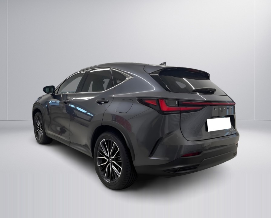 Lexus Seria NX 450h+ Luxury Line (3)