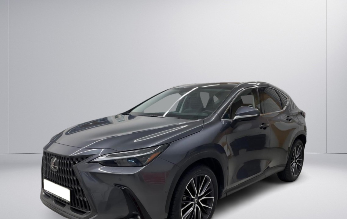 Lexus Seria NX 450h+ Luxury Line (4)