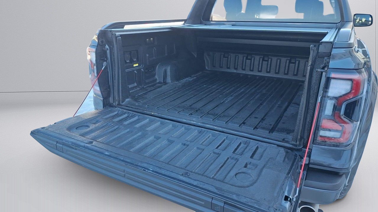 Ford Raptor - foto 12