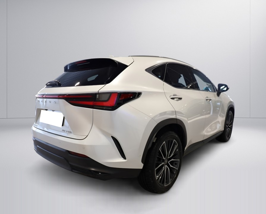 Lexus Seria NX 350h AWD Luxury Line (4)