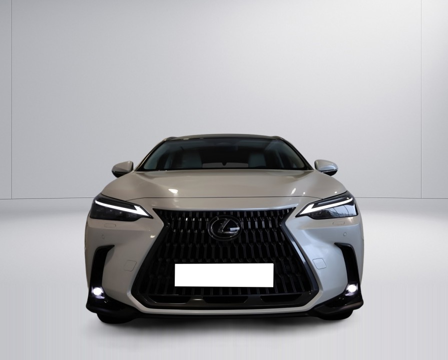 Lexus Seria NX 350h AWD Luxury Line (2)