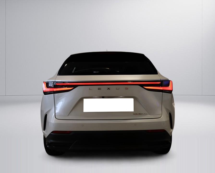 Lexus Seria NX 350h AWD Luxury Line (5)