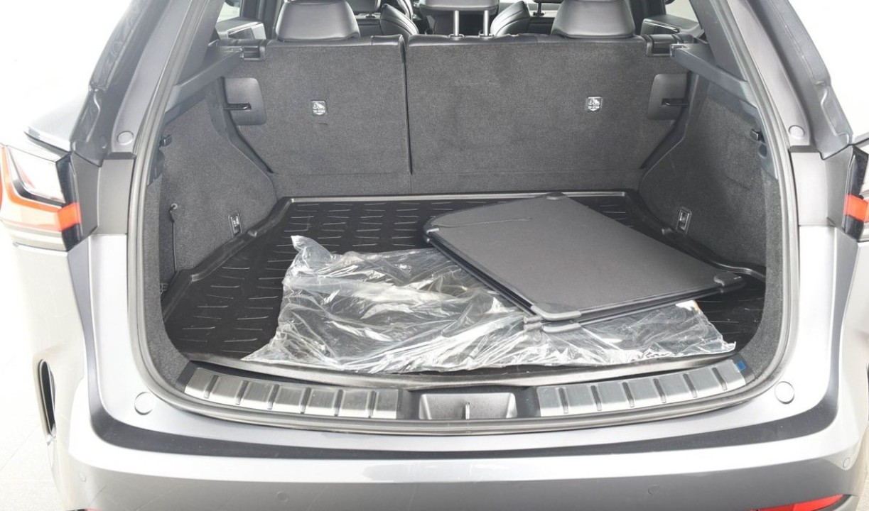 Lexus Seria NX 450h+ AWD F-Sport - foto 17