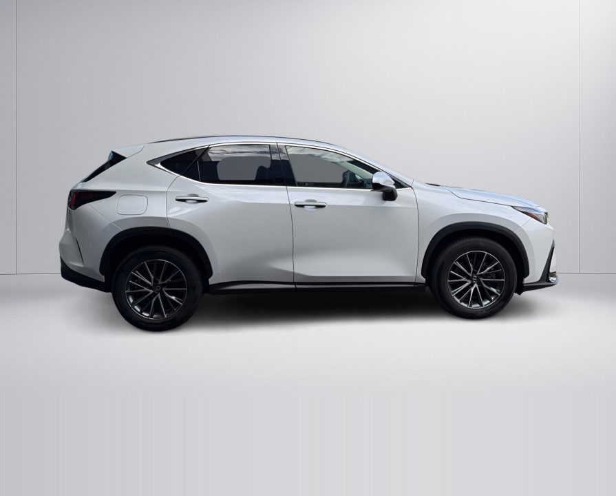 Lexus Seria NX 450h+ Executive (2)