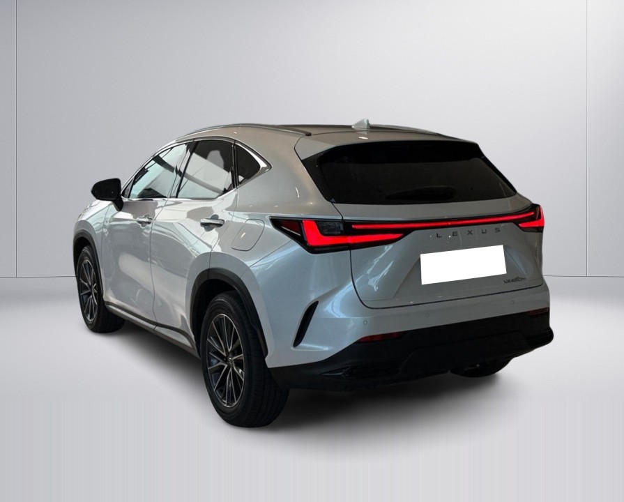 Lexus Seria NX 450h+ Executive (5)