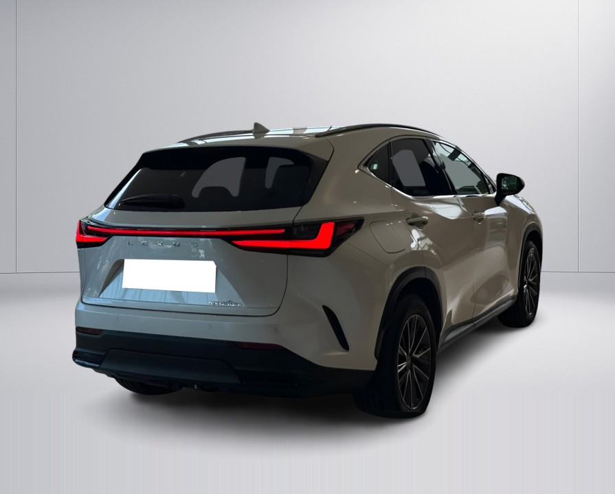 Lexus Seria NX 450h+ Executive (3)