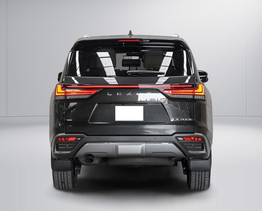 Lexus Seria LX 700h Luxury (4)