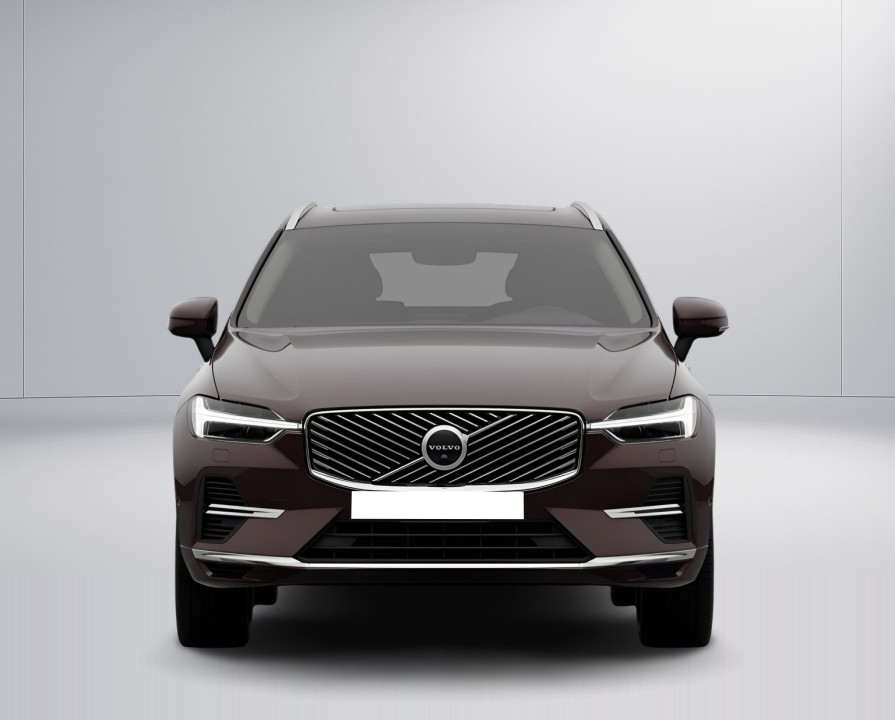 Volvo XC 60 Ultra Bright T8 (3)