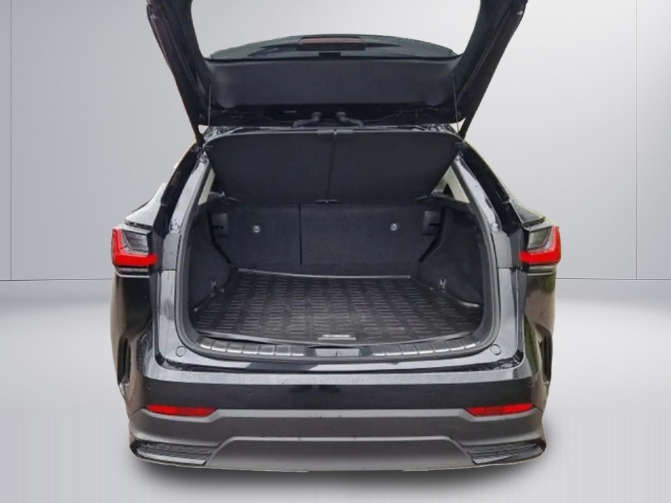 Lexus Seria NX 450h+ AWD Executive - foto 15