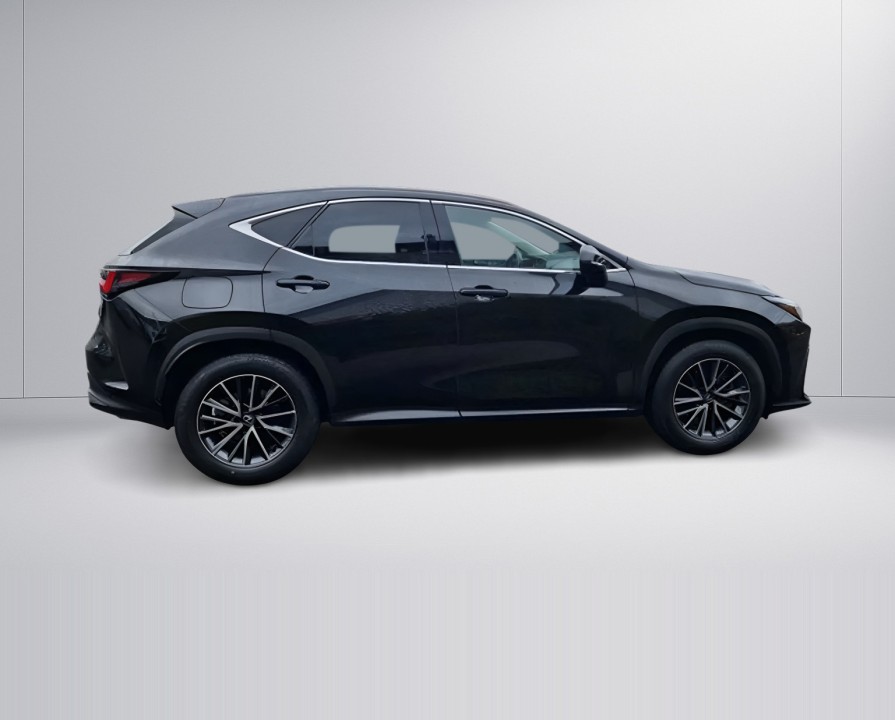 Lexus Seria NX 450h+ AWD Executive (2)