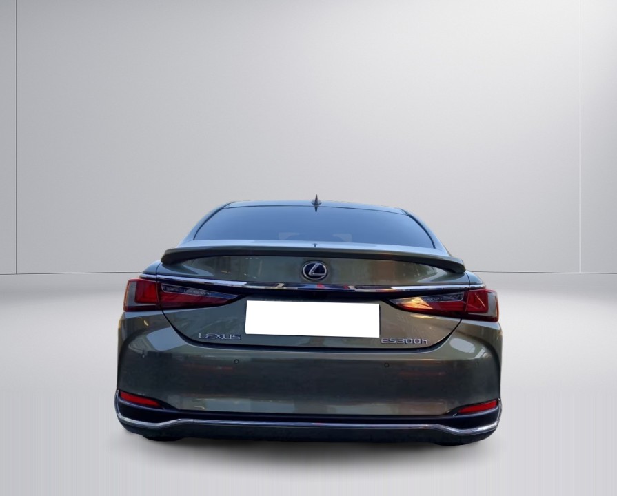Lexus Seria ES 300h Business Line (4)