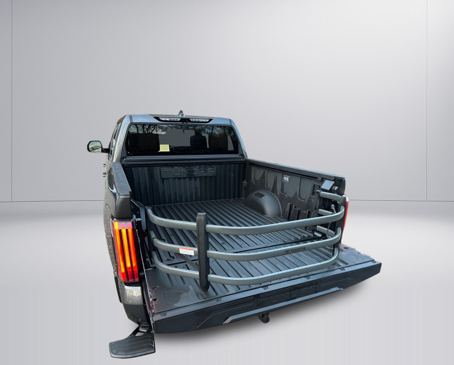 Toyota Tundra 1794 Edition (5)