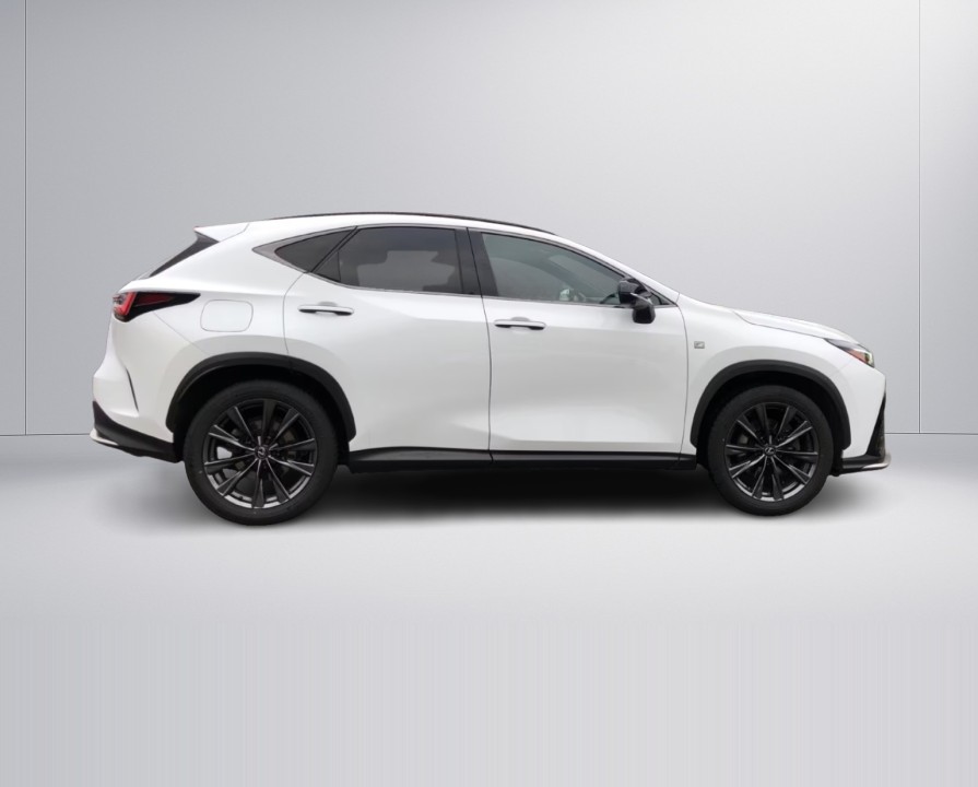 Lexus Seria NX 450h+ AWD F-Sport (2)