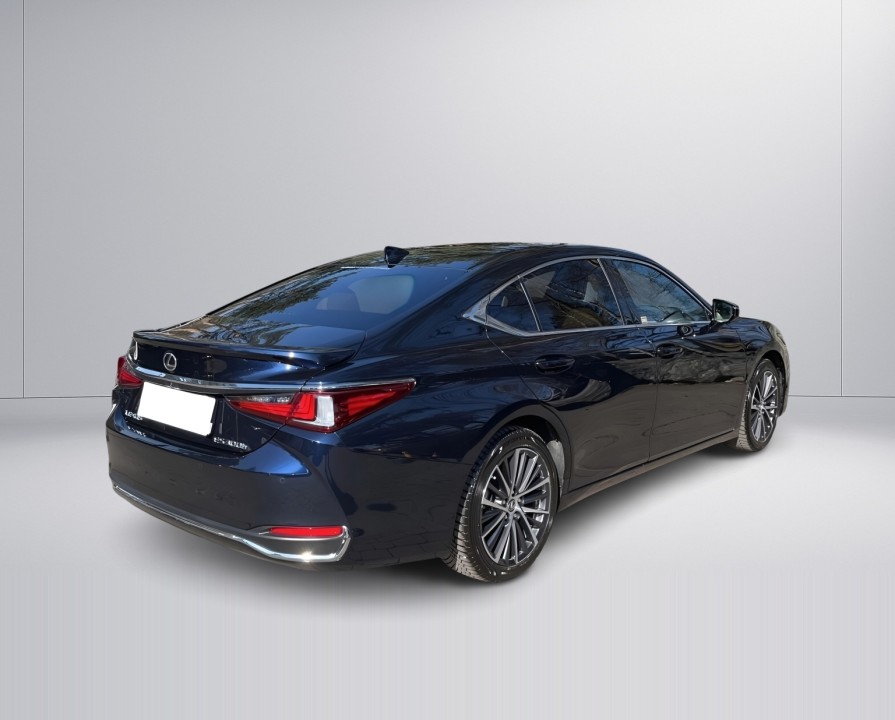 Lexus Seria ES 300h Business (2)