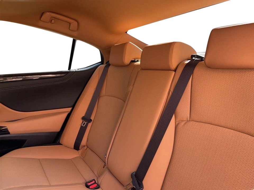 Lexus Seria ES 300h Business - foto 8