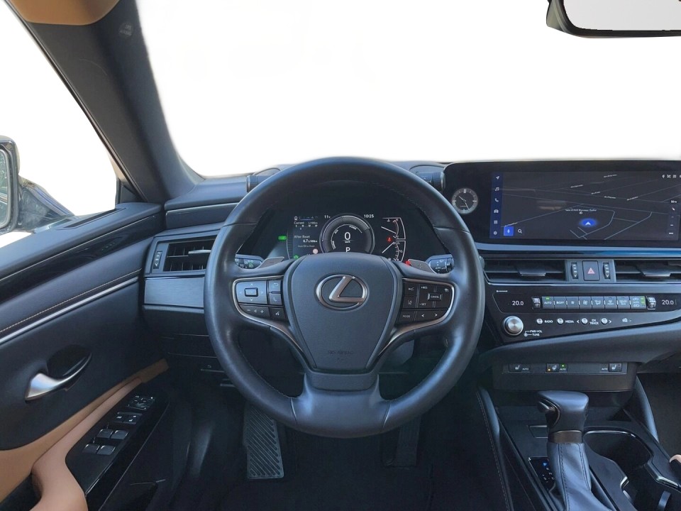 Lexus Seria ES 300h Business (5)