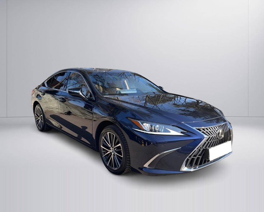 Lexus Seria ES 300h Business