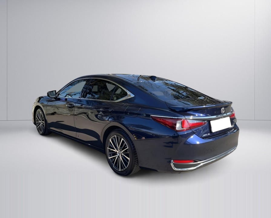 Lexus Seria ES 300h Business (3)