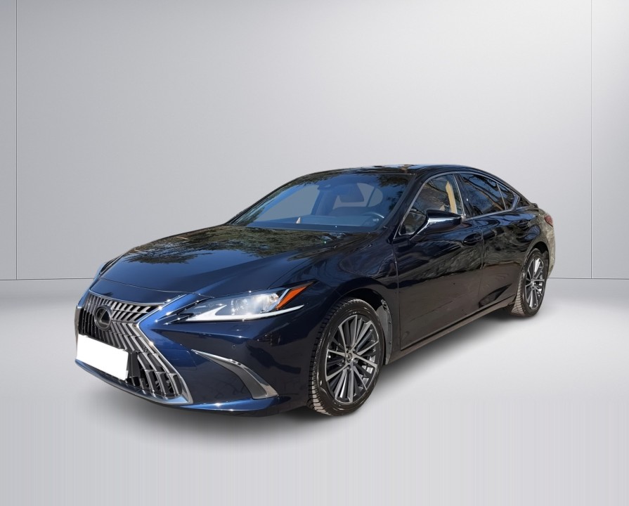 Lexus Seria ES 300h Business (4)