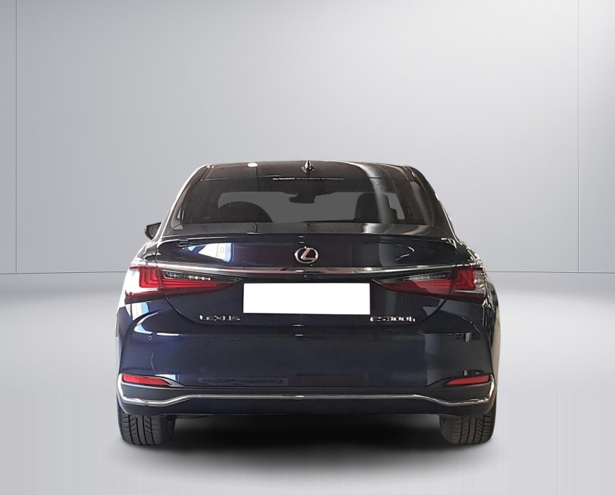 Lexus Seria ES Lexus ES 300h Business Edition (4)