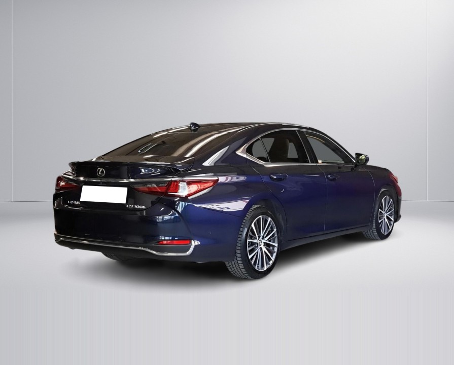 Lexus Seria ES Lexus ES 300h Business Edition (3)