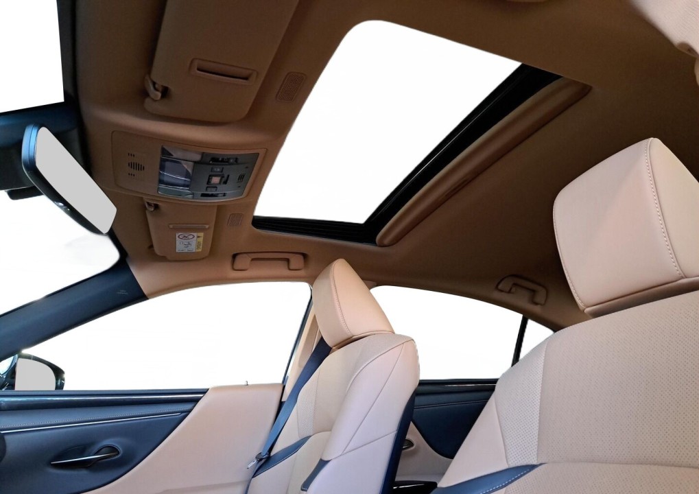 Lexus Seria ES Lexus ES 300h Business Edition - foto 31